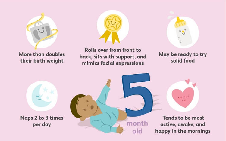 	Modèle de Diagramme des Étapes Importantes du Bébé de 5 Mois