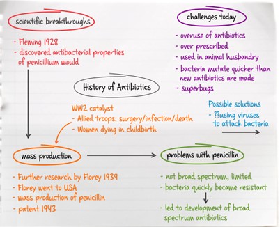 essay  writing map