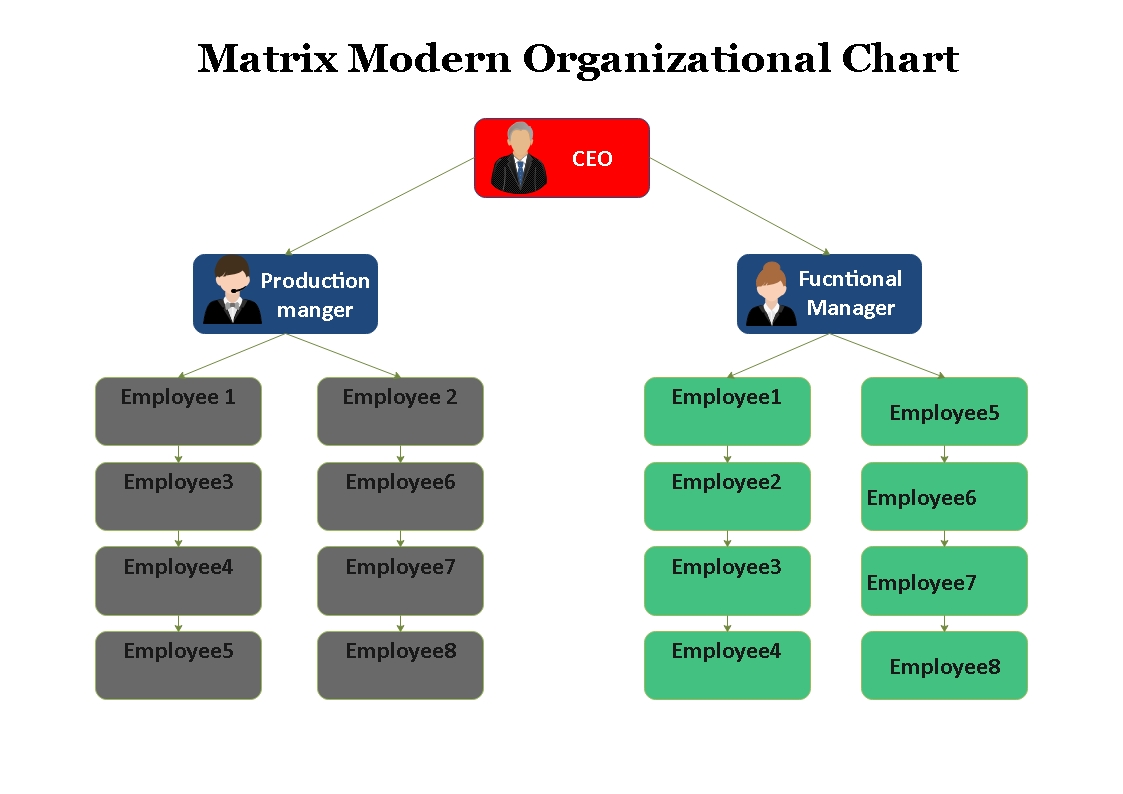 Modern Organizational Chart Complete Guide | EdrawMax