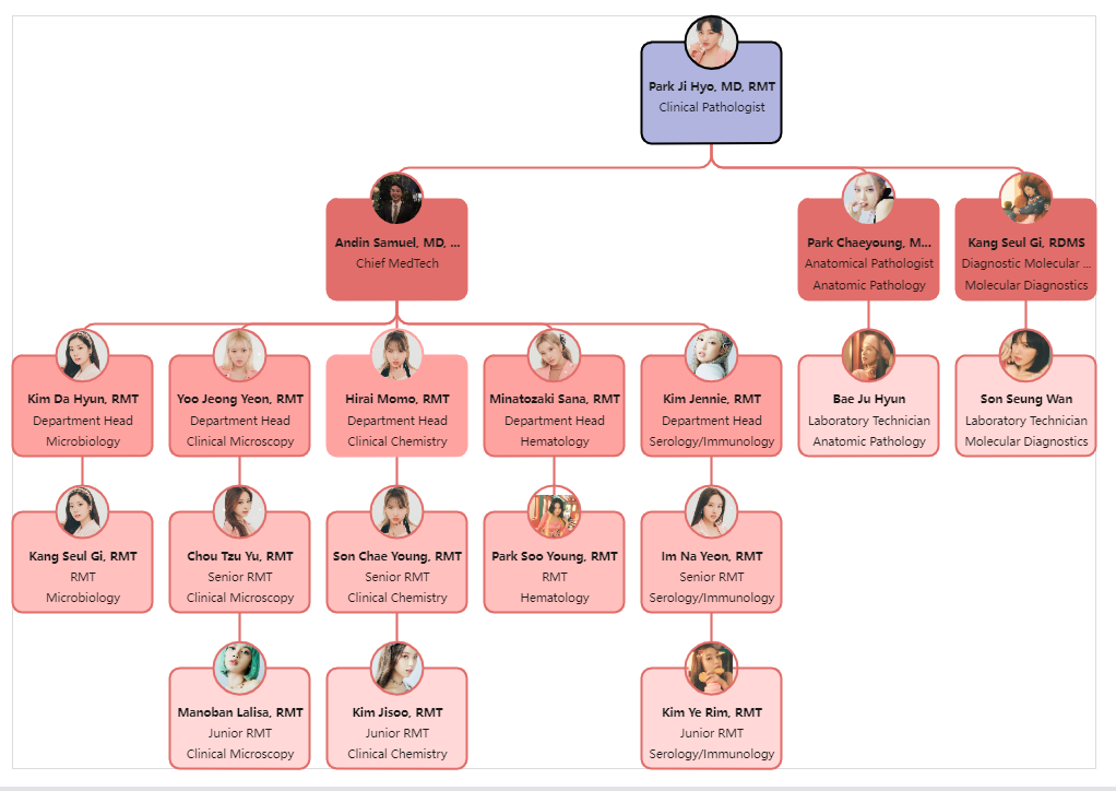 Krankenhaus Organigramm