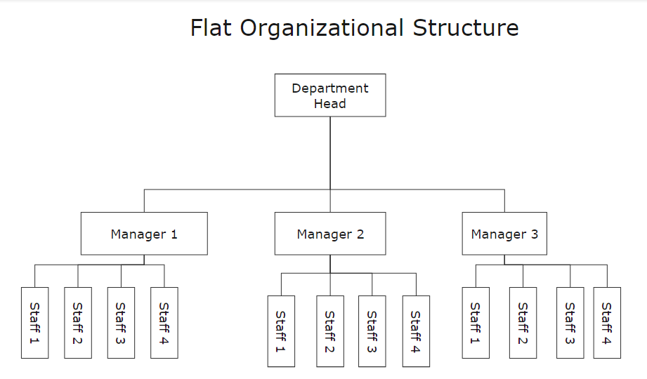 struttura-organizzativa