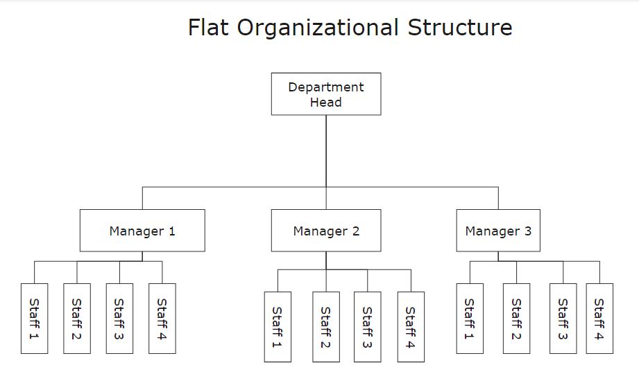 estrutura organizacional