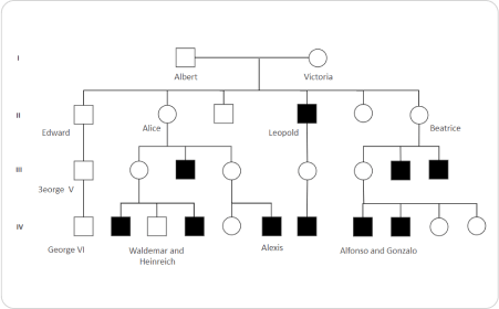 Grafico genealogico della famiglia
