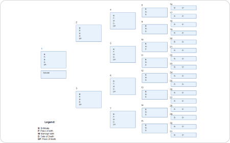 Pedigree Chart Template