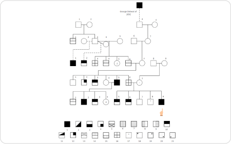 Diagramme généalogique à 7 générations