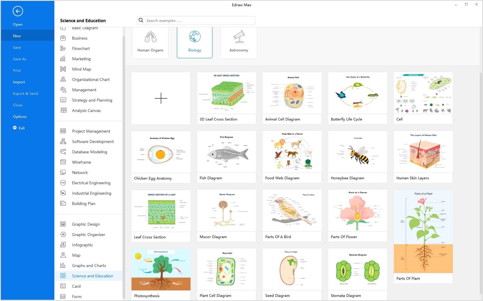 biology template