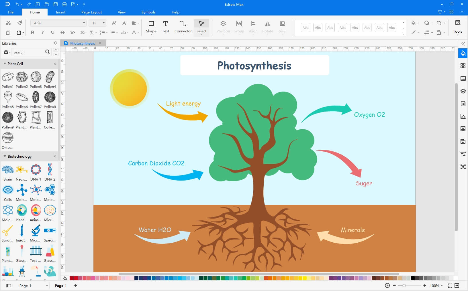 modèle de photosynthèse