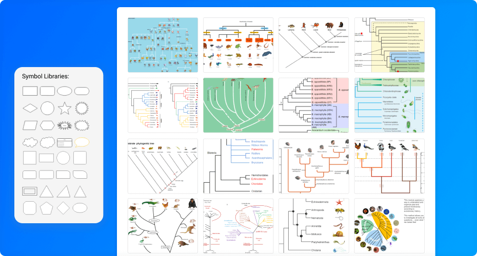 phylogenetic tree of life