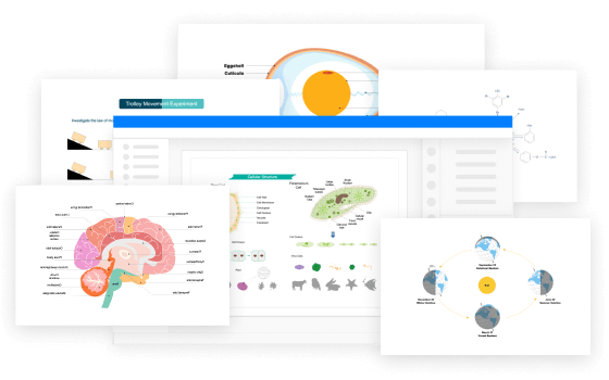 scientific diagram maker