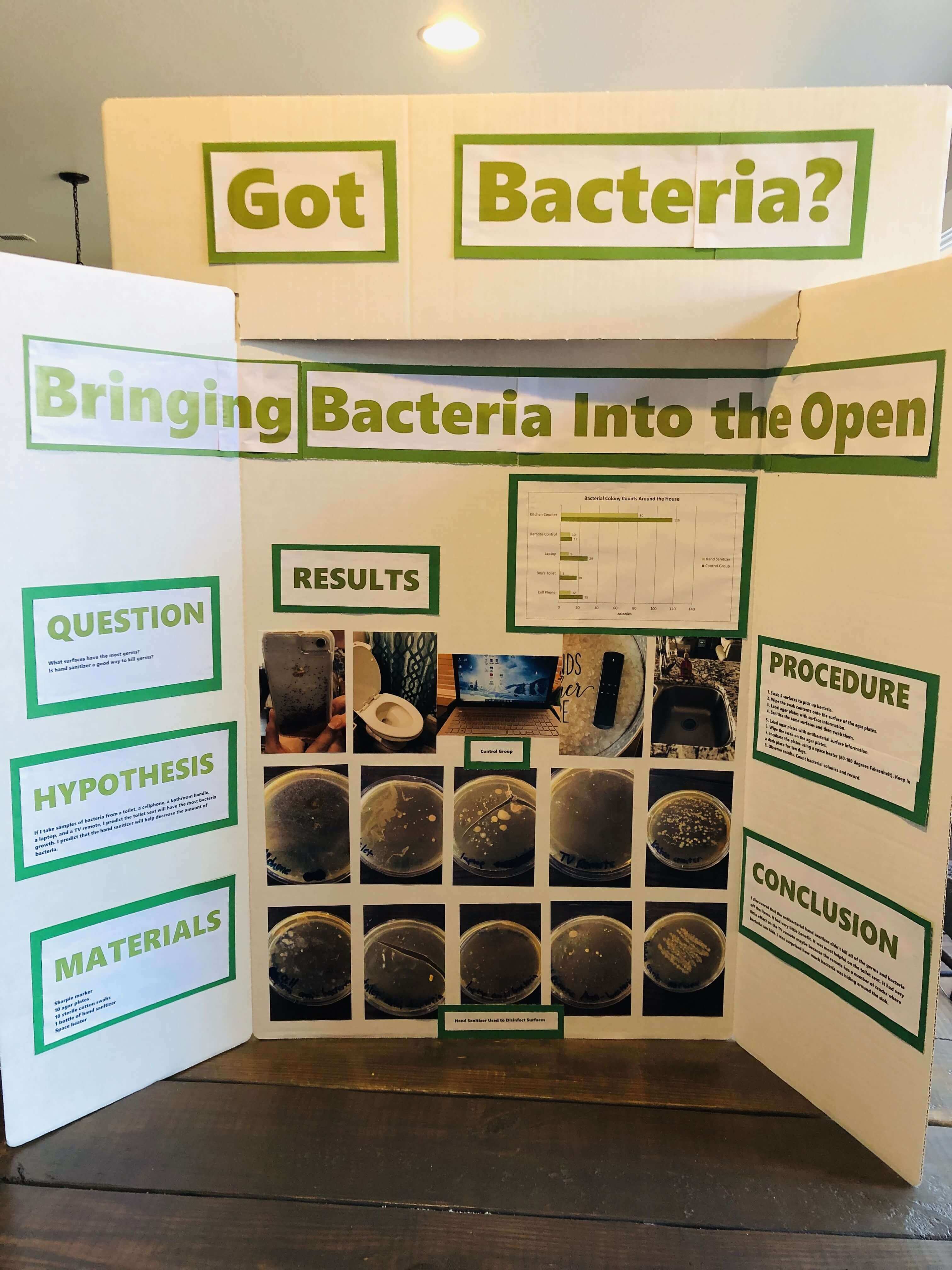Panneau de projet scientifique sur les bactéries