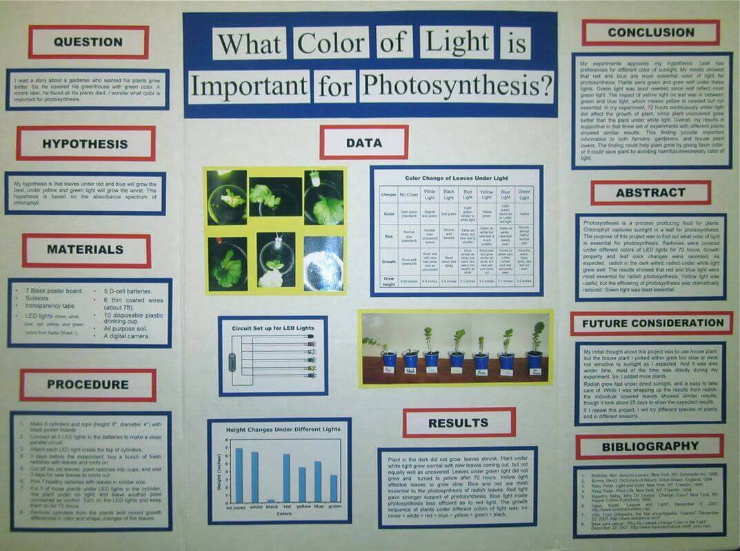 Tableau de projet scientifique sur la photosynthèse