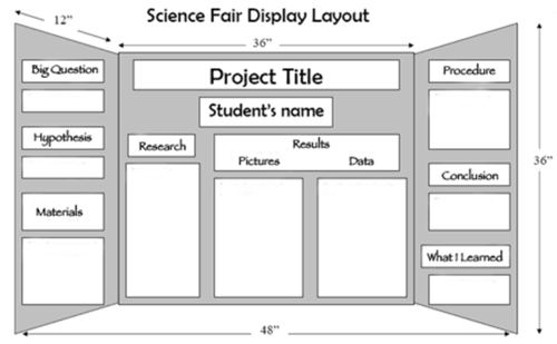 Science Fair Display Layout