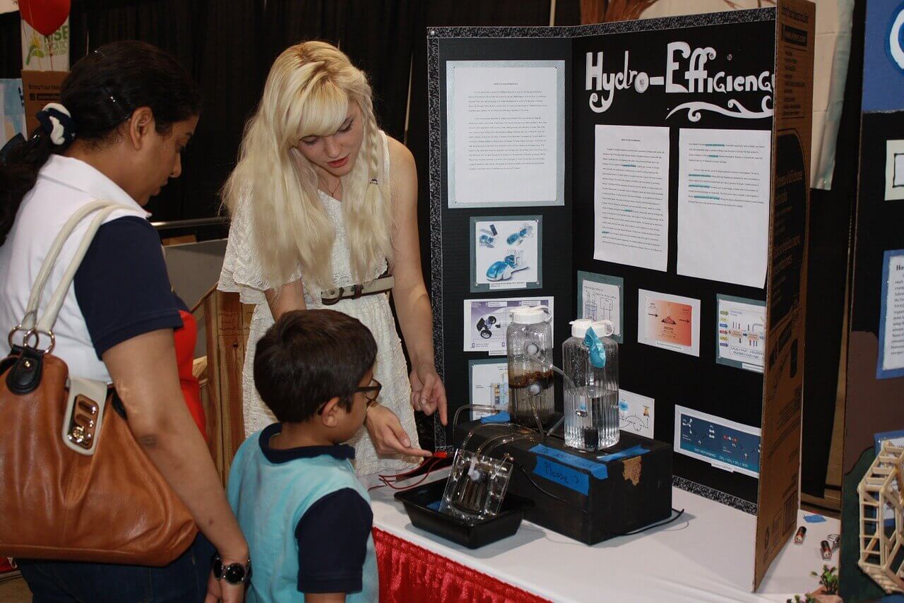 Science Fair Display Board