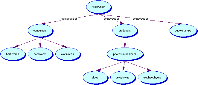 Food Chain Semantic Map