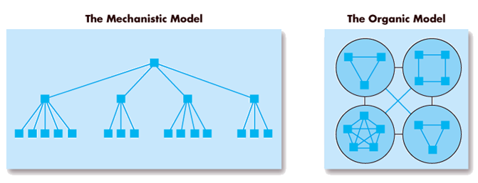 startup Organizational Chart cover