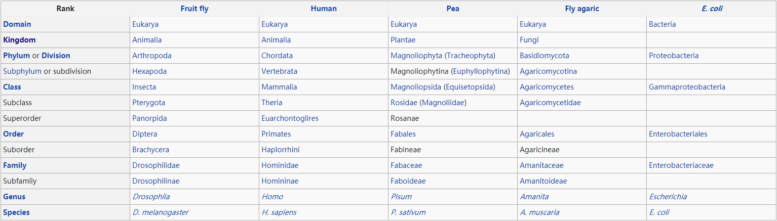 Rank de Taxonomia