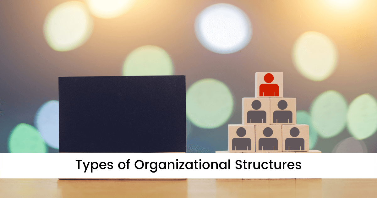 Types of Organizational Structures (with Pro and Cons) | Edraw