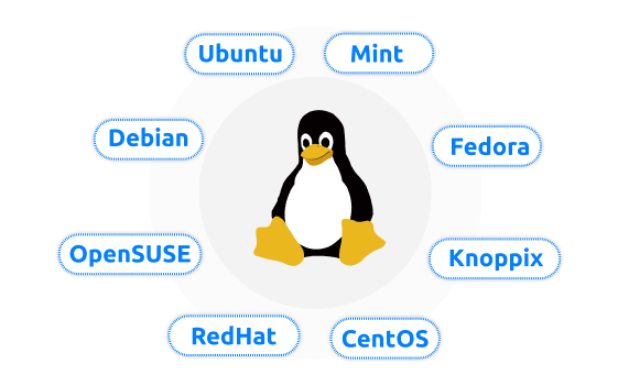 Compatível com vários sistemas operacionais que tem por base o Linux.