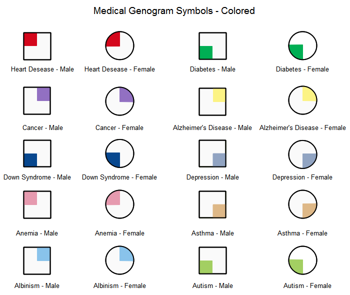 genogram example with legend