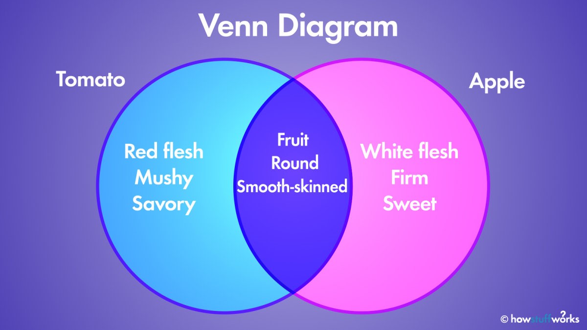 Compare and Contrast Graphic Organizers Free Templates Edraw