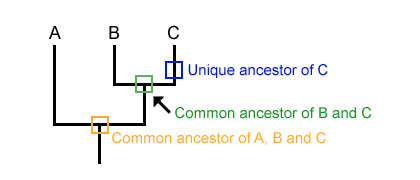 Lesen Sie das Diagramm als Ganzes 