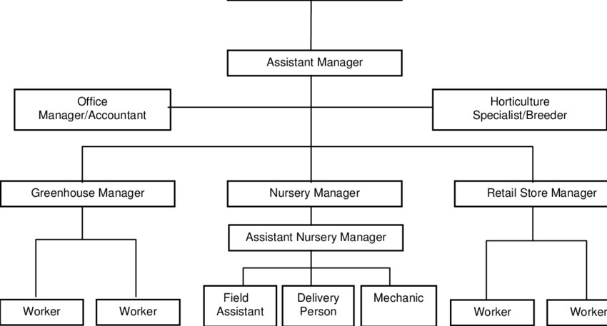 Staff relationships