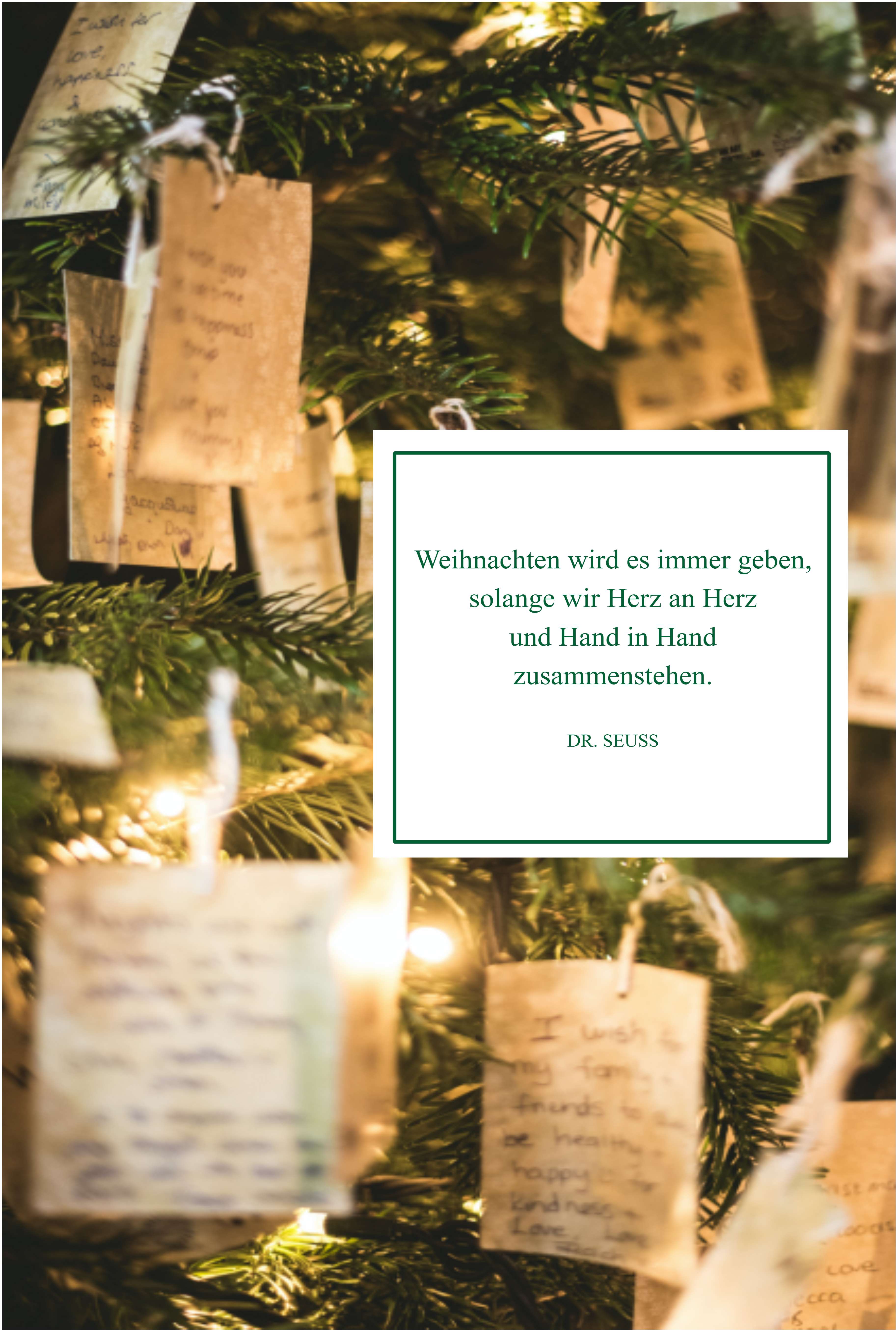 Stimmungsvolle Weihnachtskarte mit Dr.-Seuss-Zitat am Weihnachtsbaum