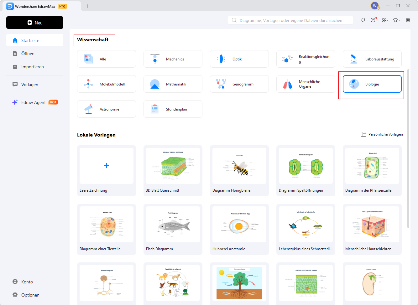 Blattquerschnitt online erstellen – Schritt 1