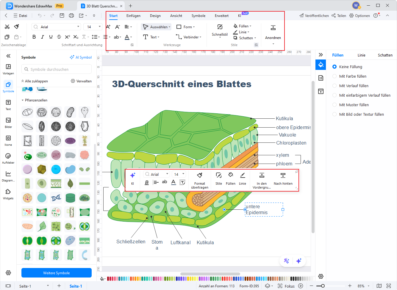 Blattquerschnitt online erstellen – Schritt 3