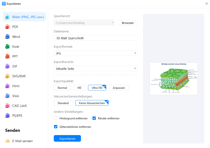 Blattquerschnitt online erstellen – Schritt 4