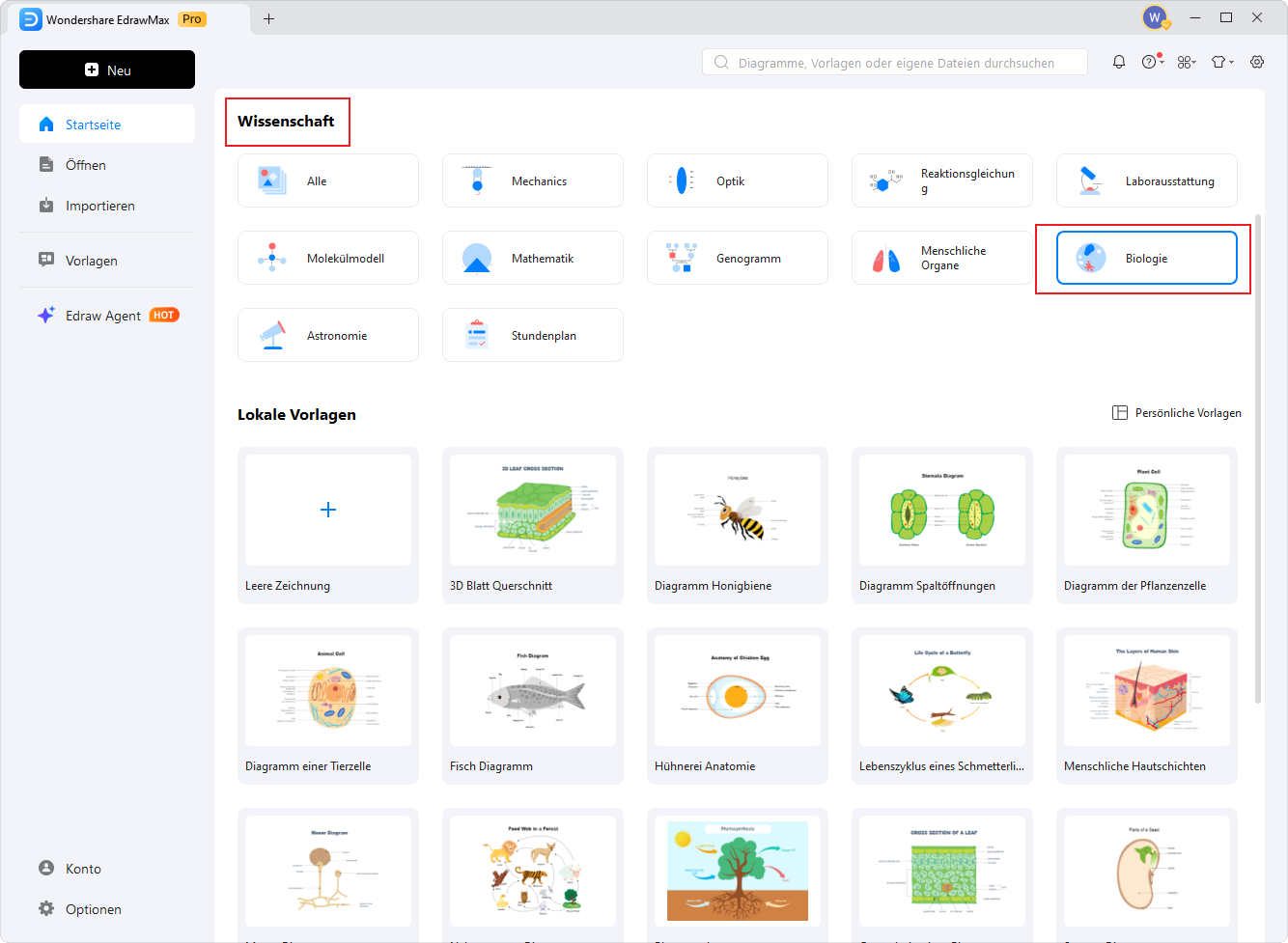 Wie man einen Dichotomischen Schlüssel zeichnet