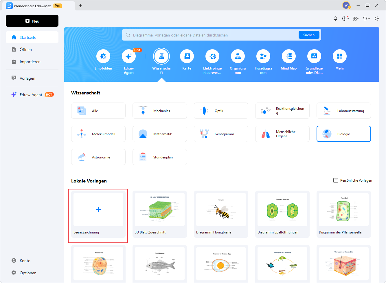 wie man einen dichotomen Schlüssel zeichnet