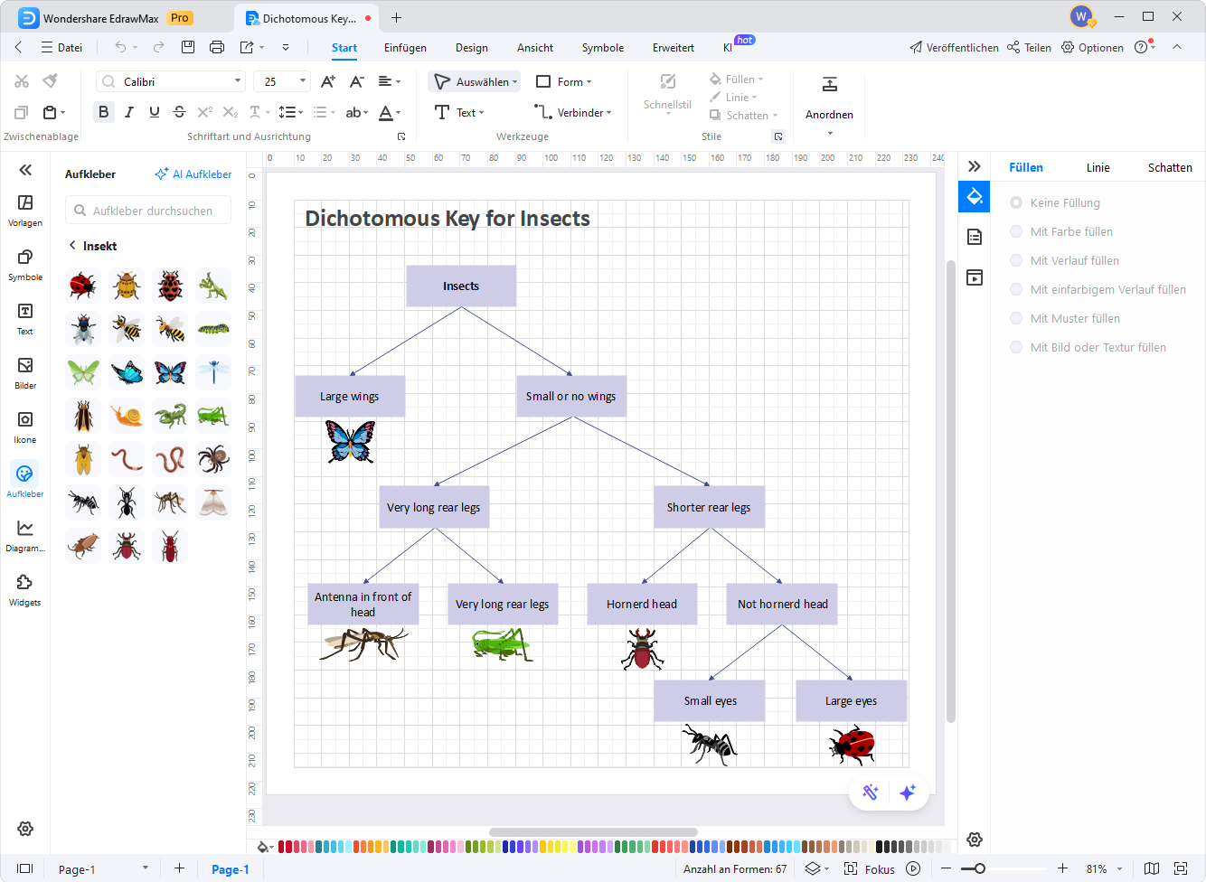 Wie man einen Dichotomischen Schlüssel zeichnet