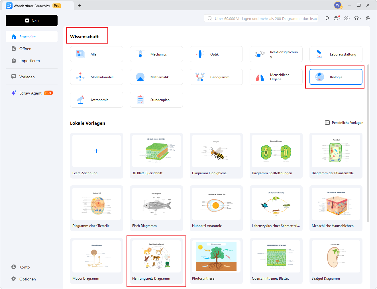 Nahrungsnetz‑Diagramm online erstellen – Schritt 1