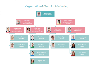 Organigramme du marketing