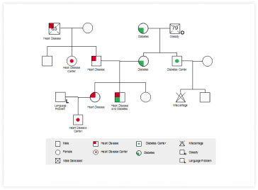 医疗Genogram