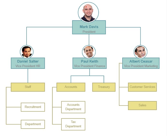 What Is A Flat Organizational Chart How To Make It In Simple Steps 