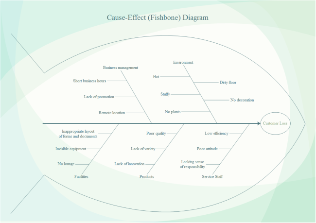 Cause and Effect Diagram for Customer Loss