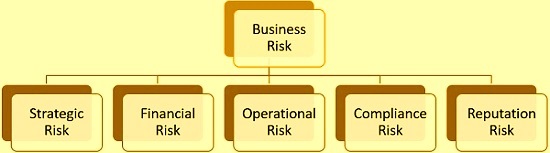 business risk types