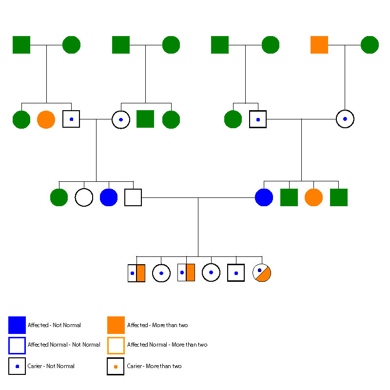 How To Make Your Own Pedigree Chart Best Picture Of Chart