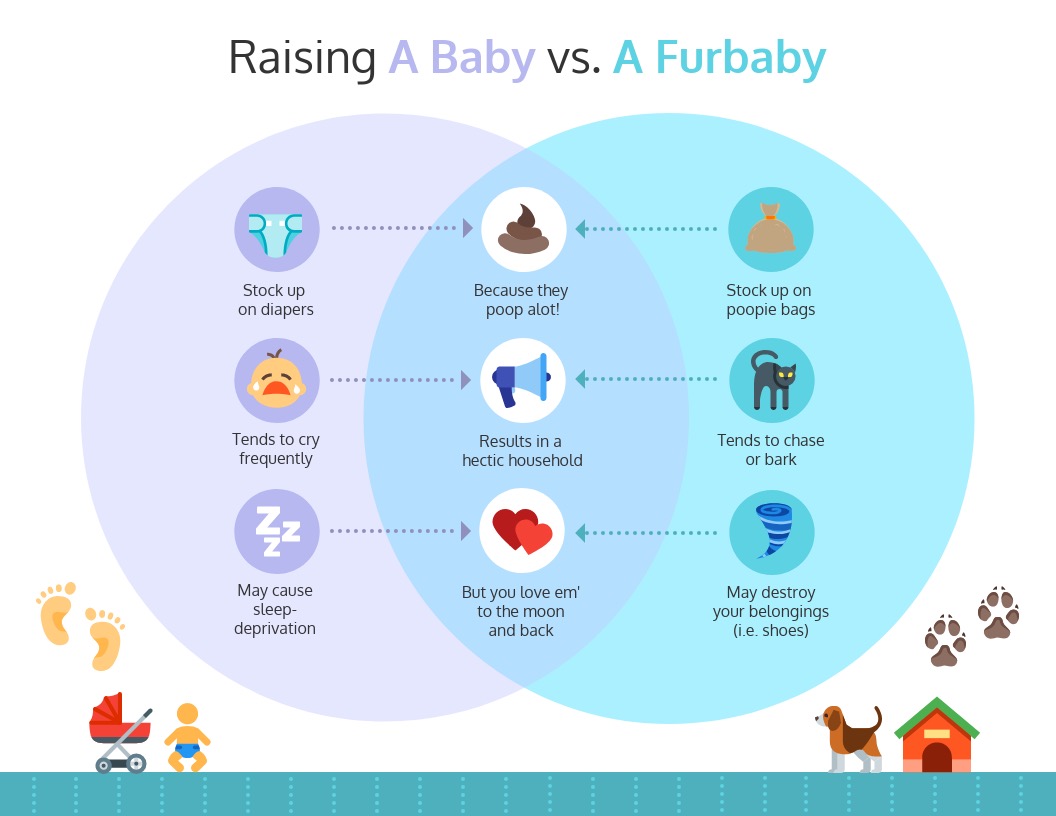 Raising Baby or Fur Baby