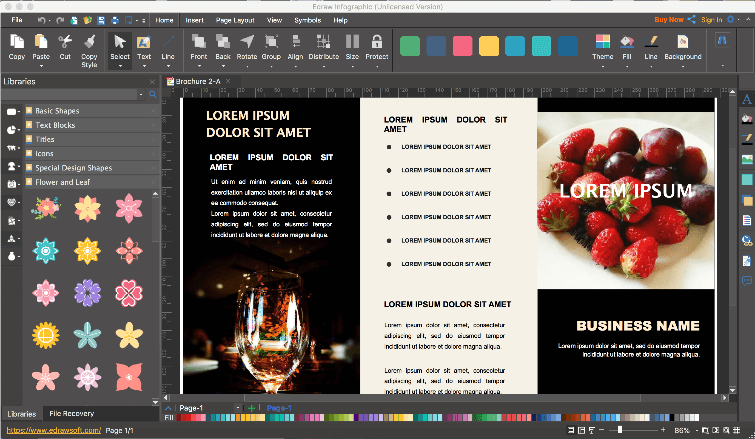 brochure in edraw infographic