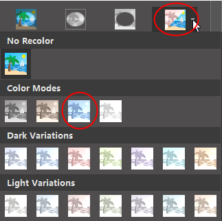 recolor picture button