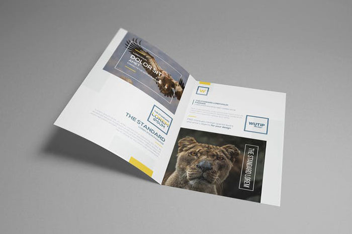 Gate Fold of Brochure