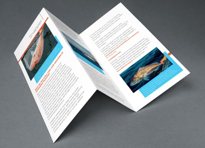 Gate Fold of Brochure