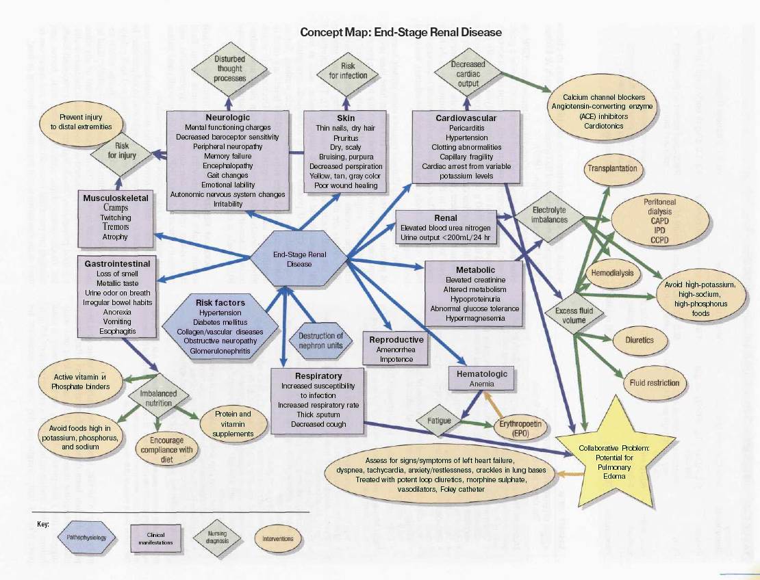 Concept Map Medical Example