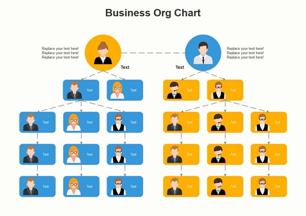 Company Org Chart