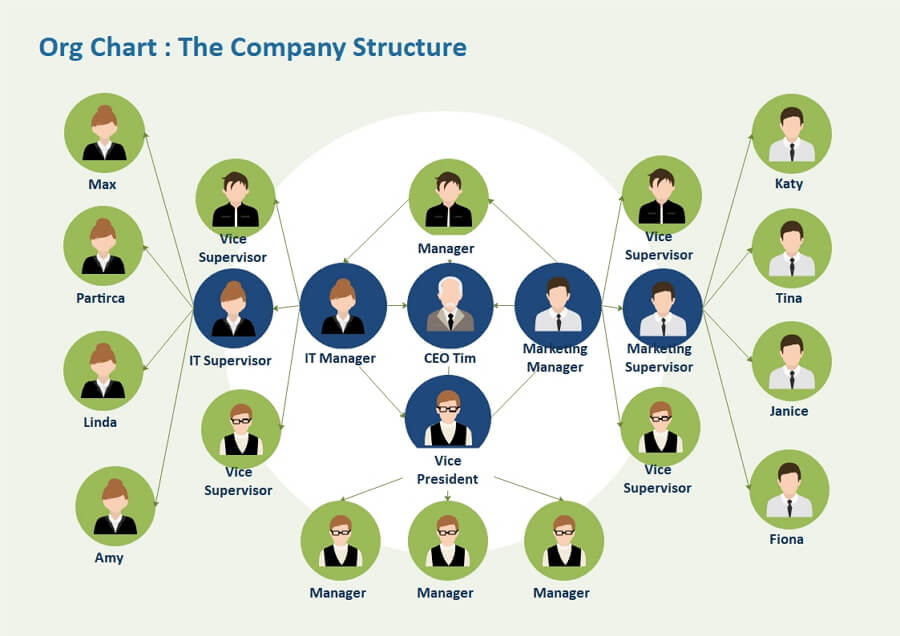 Corporation Organization Structure