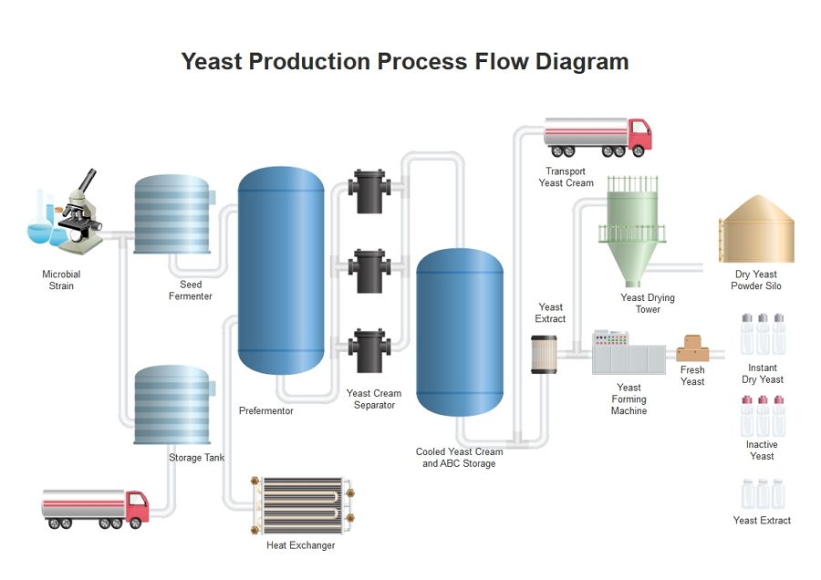 Piping Design Diagram