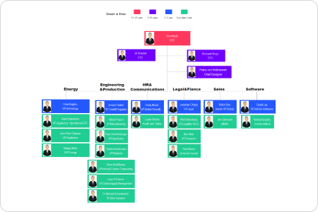 organigrama de tesla